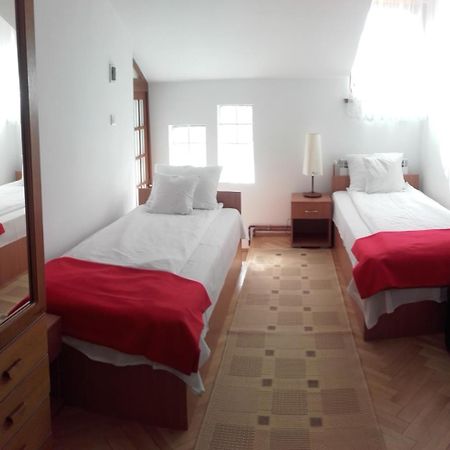 Casa Bota Hotel Vişeu de Sus Eksteriør billede