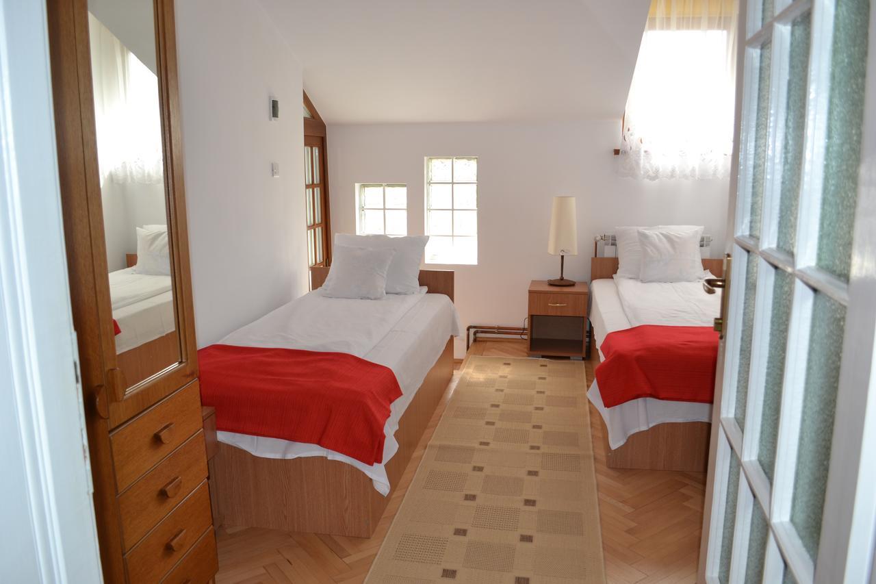 Casa Bota Hotel Vişeu de Sus Eksteriør billede