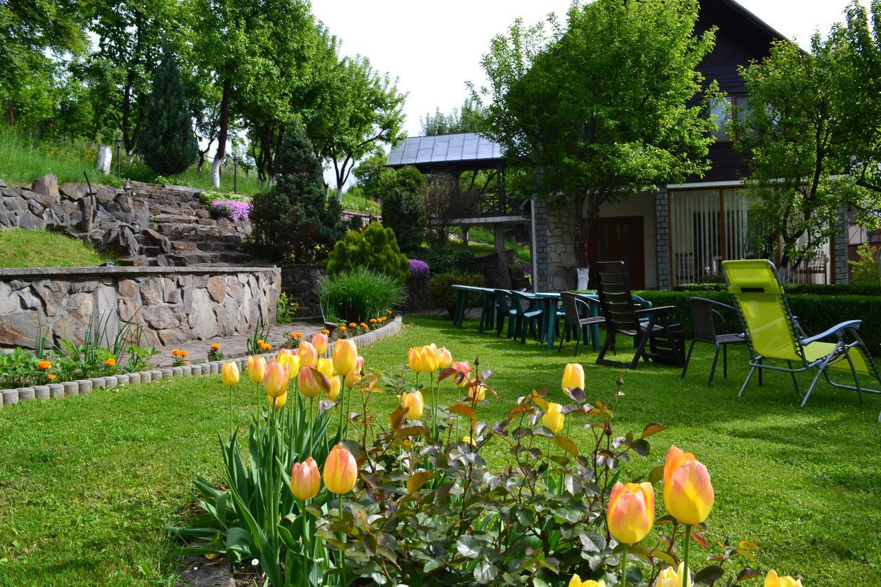 Casa Bota Hotel Vişeu de Sus Eksteriør billede