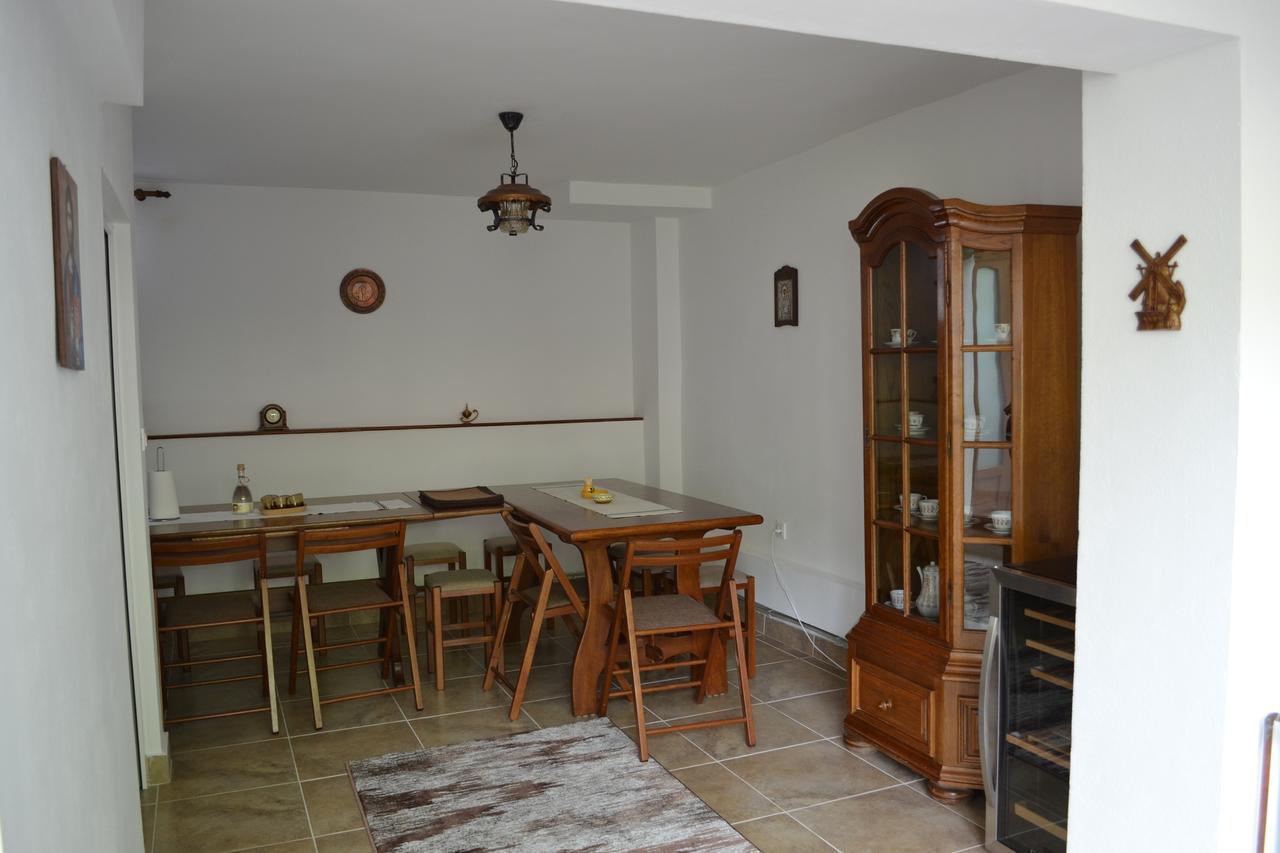 Casa Bota Hotel Vişeu de Sus Eksteriør billede
