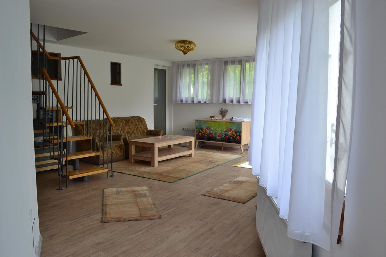 Casa Bota Hotel Vişeu de Sus Eksteriør billede