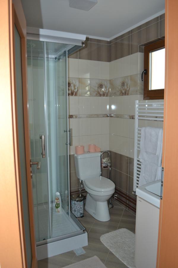 Casa Bota Hotel Vişeu de Sus Eksteriør billede
