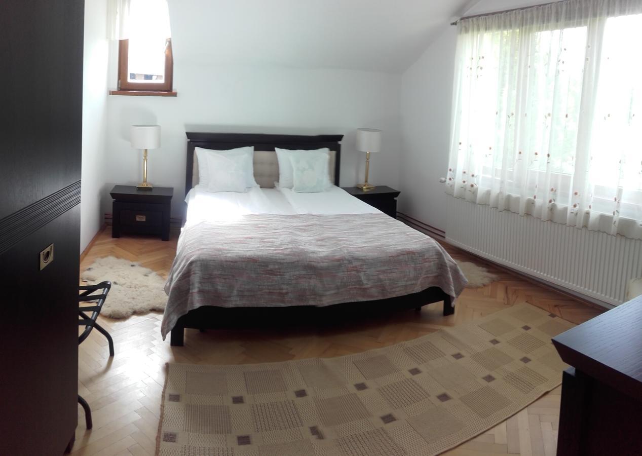 Casa Bota Hotel Vişeu de Sus Eksteriør billede