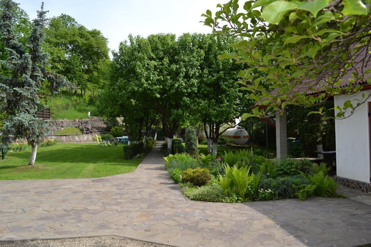 Casa Bota Hotel Vişeu de Sus Eksteriør billede