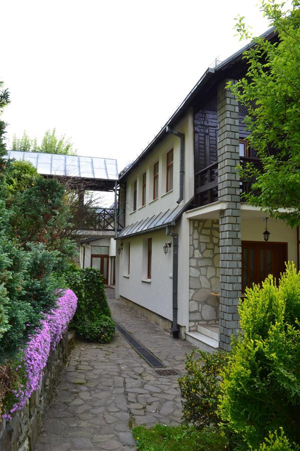 Casa Bota Hotel Vişeu de Sus Eksteriør billede