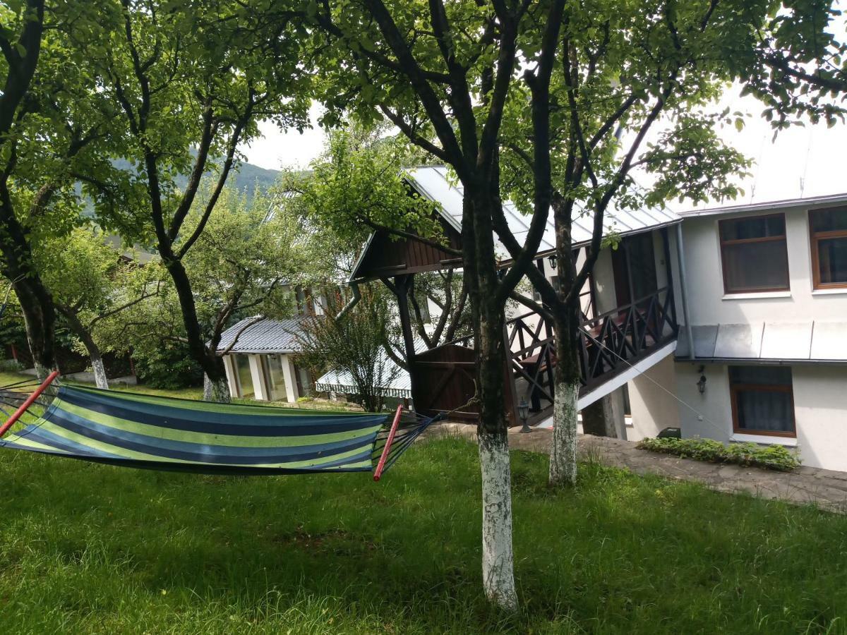 Casa Bota Hotel Vişeu de Sus Eksteriør billede